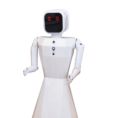 Everse AI Intelligent Humanoid – Nila Robot