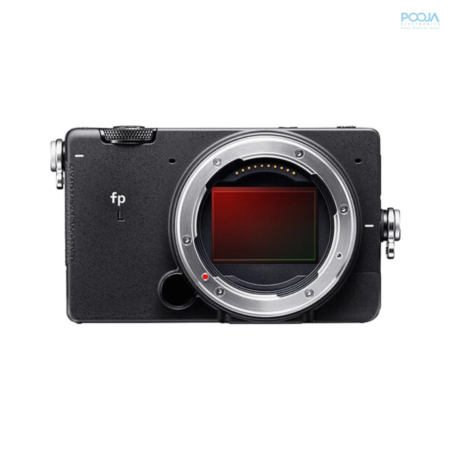 Sigma fp L Body